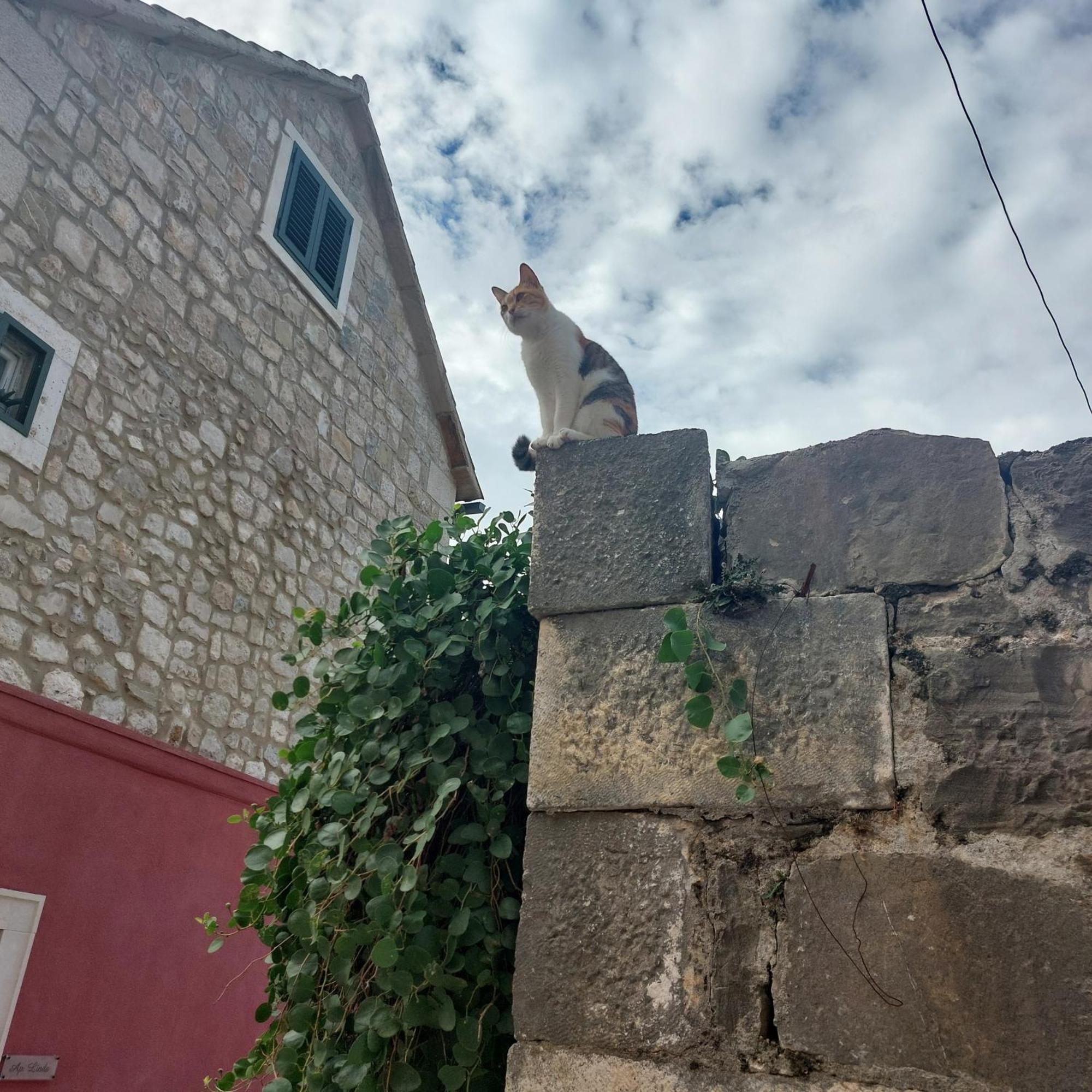 San Marco Makarska Lägenhet Rum bild